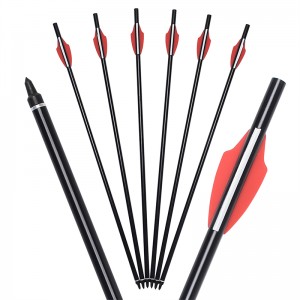 Elong Outdoor 110300-01 20 Tinch Airgun Aluminium Shaft Crossbow Pultti Jousiammunta Arrow Ammunta laitteet