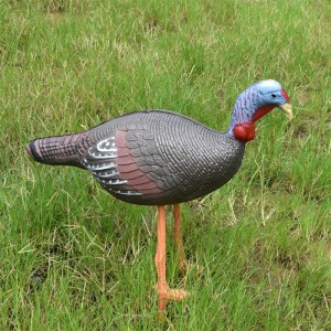 Elong Outdoor 41T3D2 3D Kana Kohde Jousiammunta Ammunta Plactice Käyttäen Lifelike tavoite